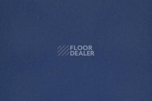 Линолеум Forbo Eternal Colour 40232 night фото 1 | FLOORDEALER